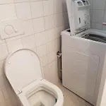 Cozy 파멜라